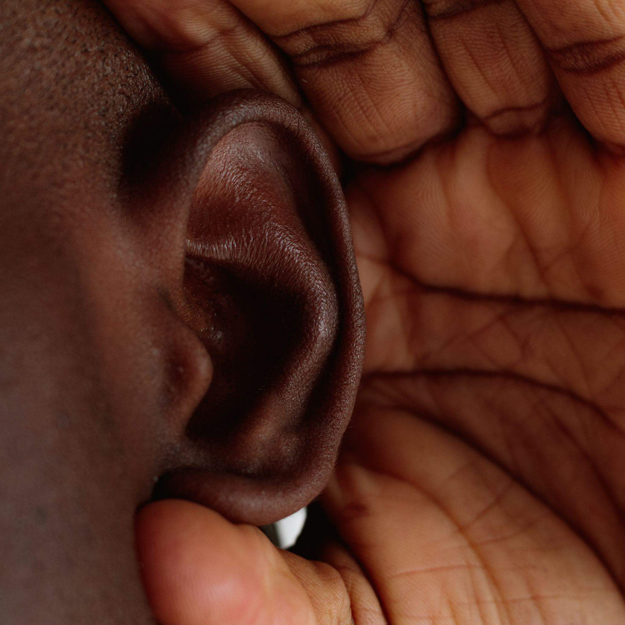 oreille-systeme-auditif.jpeg