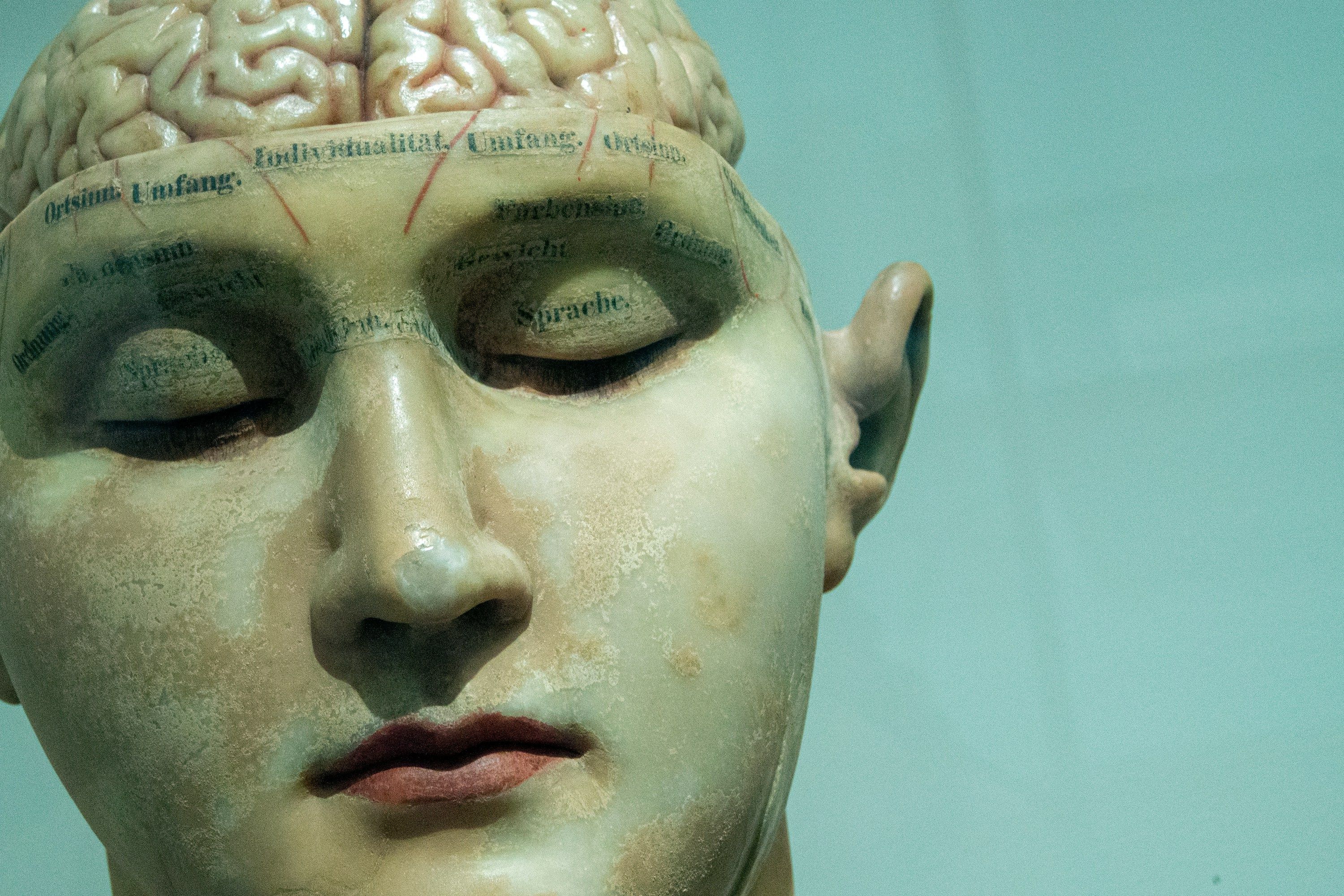 reeducation cerebrale exercices.jpg